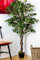 Tradala 4'11 Lush Artificial Tree Ficus 150cm / 4ft 11 Tall with Real Wood Trunk - For Home Living Room Indoors