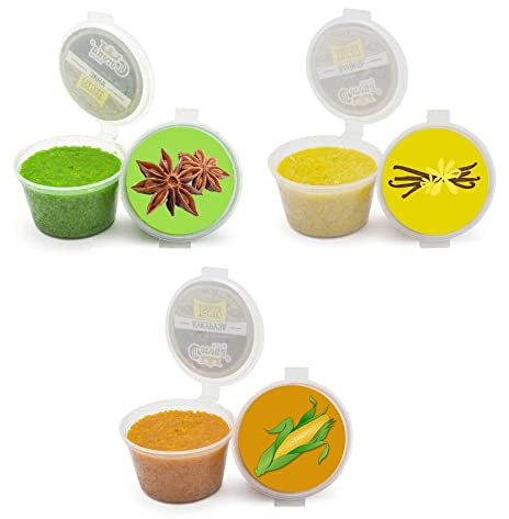 Proteinteig Teig Fischköder Angelteig Angelfutter Lockfutter Angeln Eiweißteig Anis + Vanille + Mais