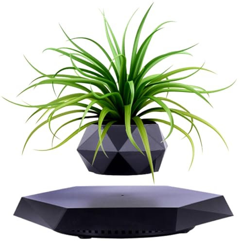 SaiDuoDuo Maceta levitante de Madera, Pantalla levitante Flotante magnética, decoración levitante para el hogar y la Oficina,Negro