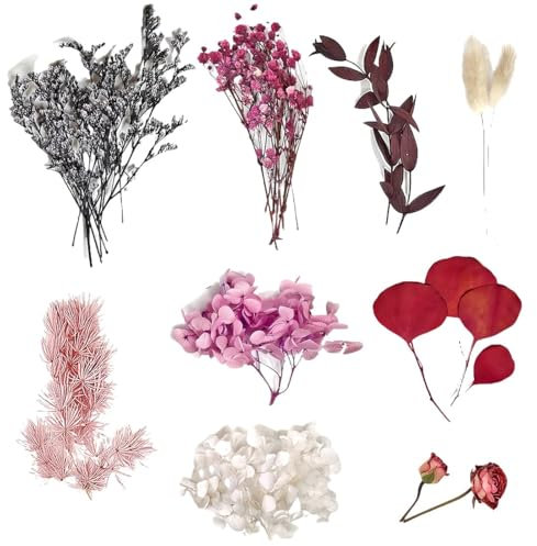 KSJEHW Getrocknete Blumen trockenblumen zum basteln getrocknete blüten trockenblumen Kranz schleierkraut getrocknet trockenblumen klein trockenblumen deko klein trockenblumen Set(rot)