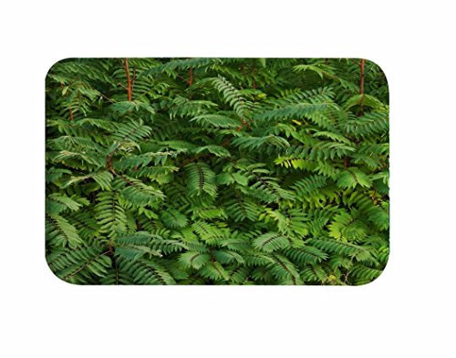 A.Monamour Badematten Badteppiche Badvorleger Tropische Grüne Pflanzen Verlässt Waldgarten Landschaft Sommer Thema Bild Flanell Fußmatte Vordertür Innenhof Im Freien Eingang Boden Matte Bad Teppiche