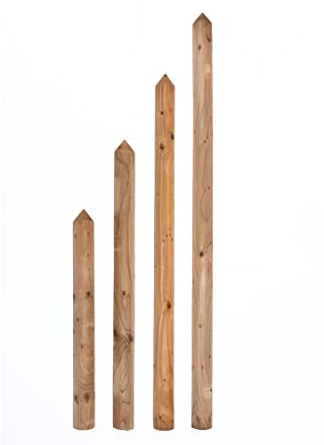 Gartenwelt Riegelsberger Zaunlatte Typ C aus Kiefernholz imprägniert 27x60 mm Höhe 80 cm halbrund Oben gekegelt