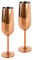 Echtwerk Juego de copas de cava y vino espumoso de 2 piezas, de acero inoxidable, Edición cobre, 250 ml, 22,5 x 6,3 cm