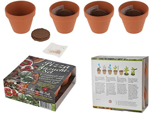 Anzuchtset für Pizza-Kräuter mit Samen für Basilikum Oregano Tomate und Rucola 4 Tontöpfe und Kokosquellerde im praktischen Set tolle Geschenkidee