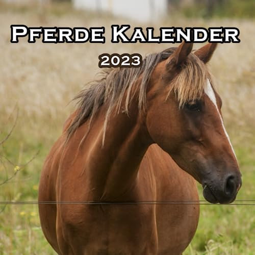 Pferde Kalender 2023: Tierkalender mit Postkarten - zum Aufstellen und Aufhängen - mit Monatskalendarium - 27 SEITEN ,21.59 x 21.59 cm