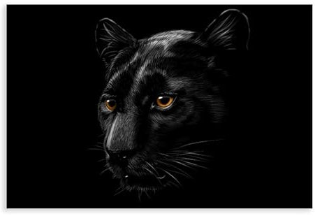 FCOJE Dark Series Black_Panther Portrait-Poster für Wohnzimmer-Dekoration, 60 x 90 cm