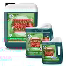 Thomil AMONIAFRESH Limpiador AMONIACADO Detergente Concentrado con extracto de amoniaco y Perfume Pino Fresh. Buen desengrasante e higienizante para la Limpieza de Superficies Lavables.Garrafa 4l