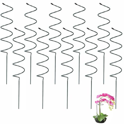 Lot de 10 piquets en spirale en métal pour plantes grimpantes et roses Vert 40 cm