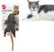 SPOT Flat Mouse Frankie with Catnip - Cat Toy, Fuzzy Mice with Catnip and Crinkle Sound, Perfect Size for Pouncing on, Chasing, Hunting - 5.5in Plush Toys, Assorted Colors