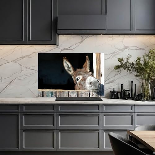 banjado Küchenrückwand Glas ohne Bohren 75x50cm – Glasrückwand Küche mit Motiv Nicki/Spritzschutz Küchenrückwand Glas/selbstklebende Küchenrückwand Platte - magnetisch & beschreibbar
