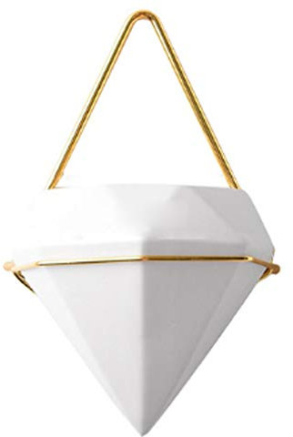 Koomiao Wandvase Keramik/Metall Blumentopf Wand pflanzenwand Für Zimmerpflanzen, Sukkulenten, Luftpflanzen, Kakteen, Kunstpflanzen und Mehr (Golden, S)