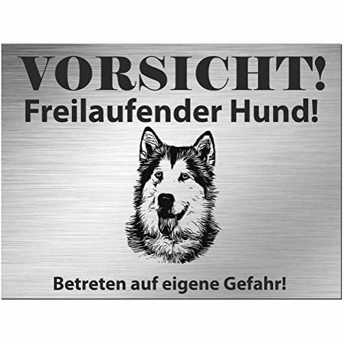 Indigos UG - Schild Siberian Husky - bedruckt - Vorsicht Freilaufender Hund - Aluverbundplatte Edelstahl Look - 20x15 cm - Spruch - Deko Geschenkidee für Ihren Hund - Zaun - Türschild - Hinweisschild