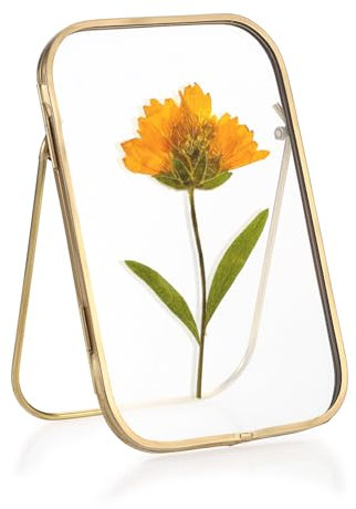 SUMTree Gold Fotorahmen aus Metall, Doppelseitiger Glas Bilderrahmen, Glasrahmen für Gepresste Blumen, Pflanze Probe Clip Glasbilderrahmen für Wohnzimmer, Hochziet, Weichnachten, Neujahr 4x6 inch