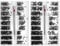 1000 Pcs Tiny Micro Repair Screw Kit, Glasses Screw Repair kit with Screwdriver, Watch Back Cover Screw Repair Watch Tool, Screws Assortment Kit for Watches Glasses Laptop(Size:Multiple Sizes)