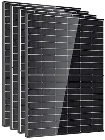 Lot de 4 panneaux solaires DMEGC 450Wc | Bifacial Bi-verre | Transparent | Haute Performance | Rendement Élevé | Garantie Longue Durée | Pour installation photovoltaïque