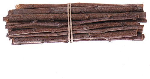 Eichhörnchen Tree Zweige, Holz Kauen Spielzeug für Hamster Ratten Mäuse Rennmäuse Kleine Tiere