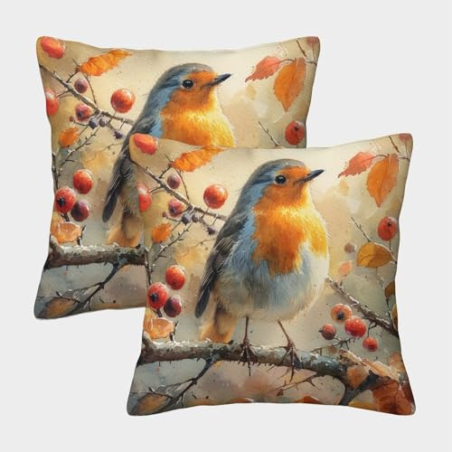 ChengzeTCo Rotkehlchen Kissenbezüge Für Sofa Und Bett, Kissenbezug Im 2er-Set, Perfekt Für Seasonal Decor Und Bedroom Comfort, Waschbar 40x40cm