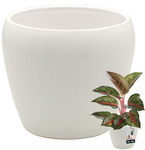 KOTARBAU® Macetero blanco interior redondo de 12 cm de alto: 12 cm de alto x 12 cm de cerámica esmaltada, maceta interior para orquídeas, maceta grande