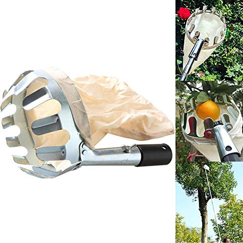 Erntehelfer Obstpflücker, Metall-Obstpflücker Apfelpflücker Fruit Picker Erntehelfer Obst-Pflücker, Bstsammler Für Schonendes Pflücken, Enthält Keine Stange,Weiß