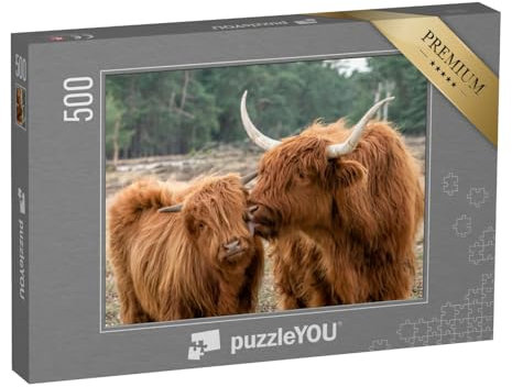 puzzleYOU: Puzzle 500 Teile „Schottisches Hochlandrind mit Kalb“ – aus der Puzzle-Kollektion Rinder