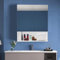 LEMROE Armoire de Salle de Bain Avec Miroir et 2 Portes - Rangement Avec Étagères Réglables - Murale en MDF (50 x 13 x 60 cm)