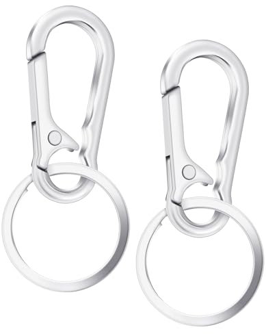 Klein Karabinerhaken 2 Stück Karabiner Schlüsselanhänger Kleiner Metall Schlüsselkarabiner Abnehmbarer Karabinerhaken Unisex Silber