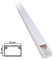 2PZ Canalina 25x16 mm da 2 metri per cavi elettrici in plastica passacavi bianco coprifili a parete con copertura (totale 4mt)