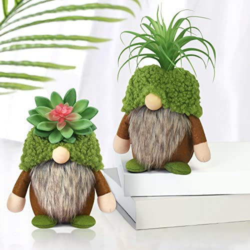 Gnomes succulents d'été verts en peluche suédoise - Plateau décoratif à étages - Décoration de poupée Tomte - Cactus, nains nordiques - Collection de nains en peluche - Cadeau de jardin pour elle ou