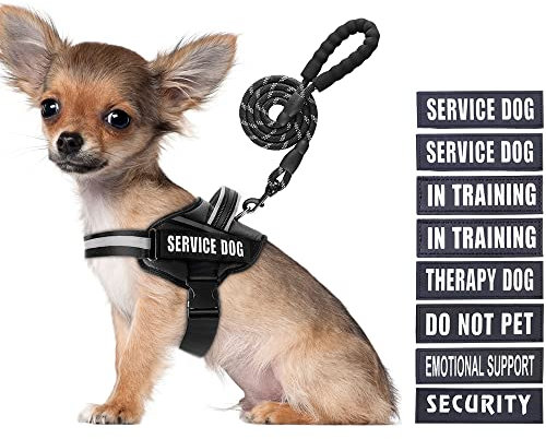 Service Dog Vest Harness and Leash Set, Animire in Training, Hundegeschirr mit 10 Hundeflicken, reflektierende Hundeleine mit weich gepolstertem Griff für kleine, mittelgroße und große Hunde (Schwarz,