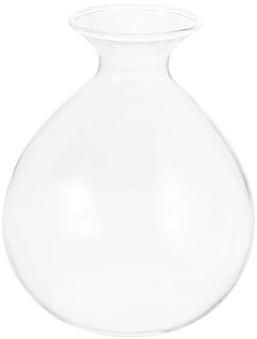 Kichvoe Vase de Plantation D'avocatier, Vase à Succulentes en Verre Argenté, Hydroponique, pour Avocatier, pour Balcon et Maison