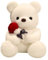 Bär Plüschtier mit Rose,Bär Kuscheltier Plüschtier Stofftier Spielzeug, Kuschelig Stofftier Plüschbär - Kuscheltier Bär aus Plüsch - Weiches Plüsch Spielzeug Geschenk für Valentinstag Kinder Freundin