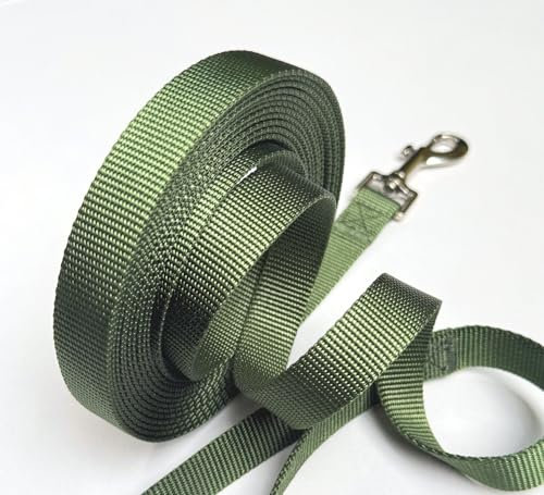 Schleppleine 10m aus Premium-Nylon – Lange Hundeleine für kleine und mittelgroße Hunde – Mit Handschlaufe & Karabiner – Olivgrün