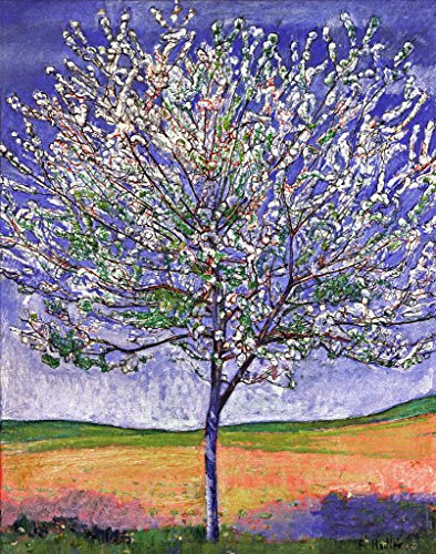 Kunstdruck/Poster: Ferdinand Hodler Blühender Kirschbaum - hochwertiger Druck, Bild, Kunstposter, 60x75 cm