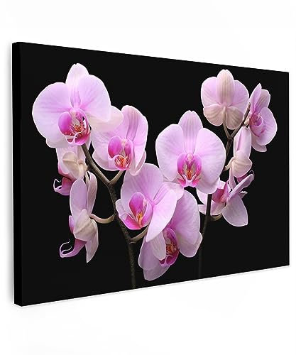MuchoWow© Quadri su Tela 120x80 cm Foto Quadro Moderno Soggiorno Canvas Decorazioni Camera da Letto Orchidea - con Fiori - Rosa - Flora