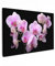 MuchoWow© Quadri su Tela 120x80 cm Foto Quadro Moderno Soggiorno Canvas Decorazioni Camera da Letto Orchidea - con Fiori - Rosa - Flora
