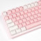 Mintcaps Keycaps - 104 Keys Crystal Jelly Translucent Custom Keyboard Keycaps OEM Profile Cute for 60/65/75/100 Cherry Gateron Mx Mechanical, Pink and White
