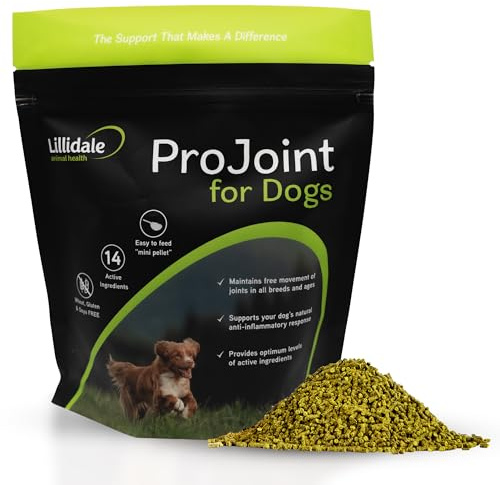 Lillidale ProJoint 500g - Joint Supplement for Dogs with Glucosamine and Chondroitin - Premium Anti-Inflammatory Support - Mobility - Hip & Joints - Soothes Stiffness - Dog Joint Supplement
