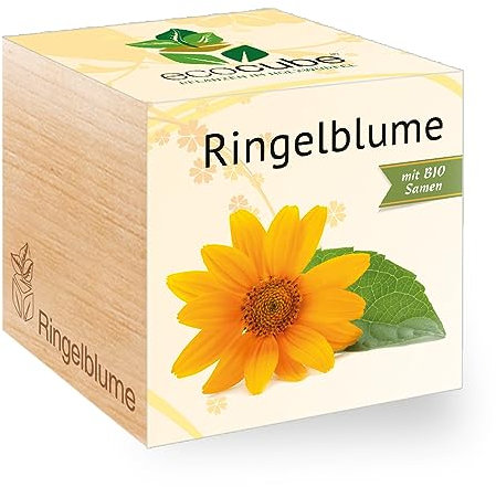 Feel Green - WE CREATE NATURE 297494 Feel Green Ecocube Ringelblume, Bio Samen, Nachhaltige Geschenkidee (100% Eco Friendly), Grow Your Own/Anzuchtset, Pflanzen Im Holzwürfel, Made in Austria