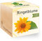 Feel Green - WE CREATE NATURE 297494 Feel Green Ecocube Ringelblume, Bio Samen, Nachhaltige Geschenkidee (100% Eco Friendly), Grow Your Own/Anzuchtset, Pflanzen Im Holzwürfel, Made in Austria