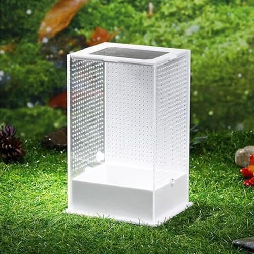 Habitat Terrarium, Transparentes Acryl-Reptilienbecken, Reptilien-Zuchtbox, Orchideen-Mantis, Brutkasten Für Afrikanische Phantom-Mantis-Insekten, Ruheraum Und Unterhaltung Für Reptilien,M