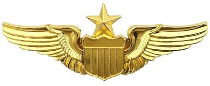 Piloten-Anstecknadel, Pilotenflügel, goldfarben, Luftwaffe, Senioren-Pilotenflügel, Pilotenkostüm, Anstecknadel, Metall, Fliegernadeln für Hut, Hemd, Uniform-Kostüm, One size, Legierter Stahl