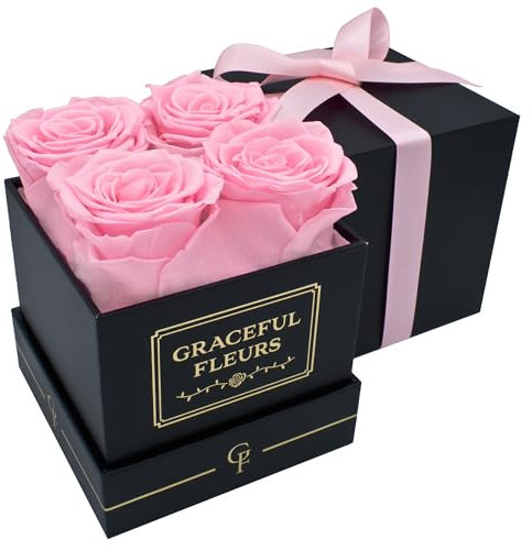 Chloe's Graceful Fleurs | Rose, boîte noire