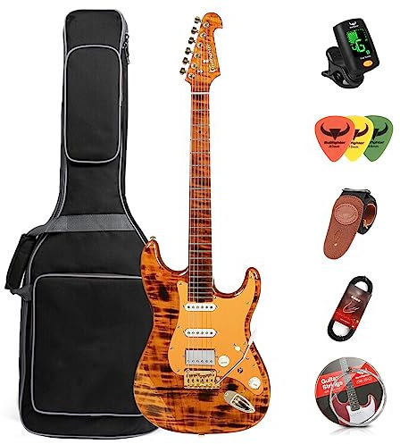 E-Gitarre Hals 22 Bünde Körper Erle vintage Farbe Material Rock E-Gitarre…