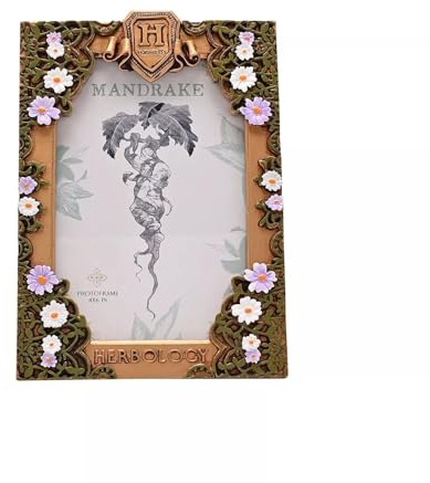 Warner Bros Harry Potter Herbology Bilderrahmen, 10,2 x 15,2 cm, florales Design mit Hogwarts-Wappen, Mandrake-Thema, Tischaufsteller