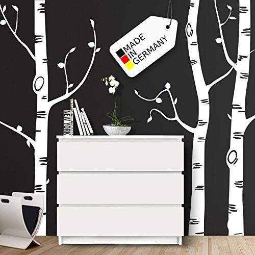 Grandora Wandtattoo XXL Birkenstämme I braun (BxH) 281 x 250 cm I Wohnzimmer Schlafzimmer Flur Sticker Aufkleber Wandaufkleber Wandsticker Birke W5434