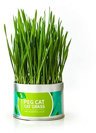 Aoun 2 PCS Organic Cat Grass Growing kit for Indoor Cats, Cat Grass Kit with Planter and Soil and Seeds, Great for Indoor or Outdoor Cat, Dogs and Other Pets. Prevent Hairballs and Aid Digestion