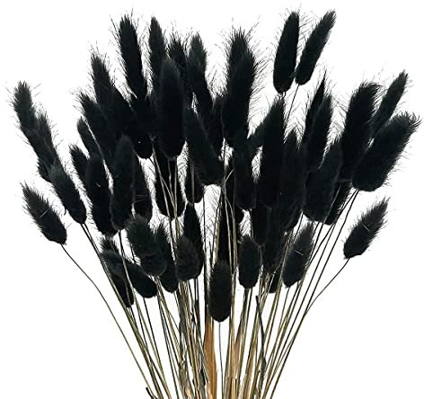 jklashfi 60 StüCk Getrocknete Herbstblumen, HäSchenschwäNze, Getrocknete Blumen, Lagurus, Ovatus, Kaninchenschwanz, Gras für Getrocknete Blumen (Schwarz)