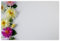 celloexpress Blank (Garden Dahlia) Flower Message Cards - 60mm x 90mm - Blank Florist Card Gift Notes (Pack of 10)