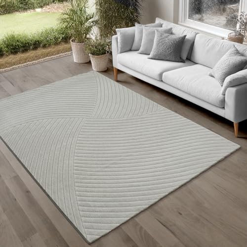 the carpet Parma Teppich Wohnzimmer, Schlafzimmer, Outdoor geeignet, waschbar, moderner Kurzflor mit Hoch-Tief-Effekt, angenehm weich, Grau, 240 x 340 cm