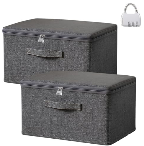 Exquilnova 2PCS Storage Boxes with Lids,Grey Lockable Storage Box,Foldable Fabric Boxes with Reinforced Handle,Clothes Box with Zips for Bedrooms,Living Room,Office(S 30 x 20 x 14 cm)